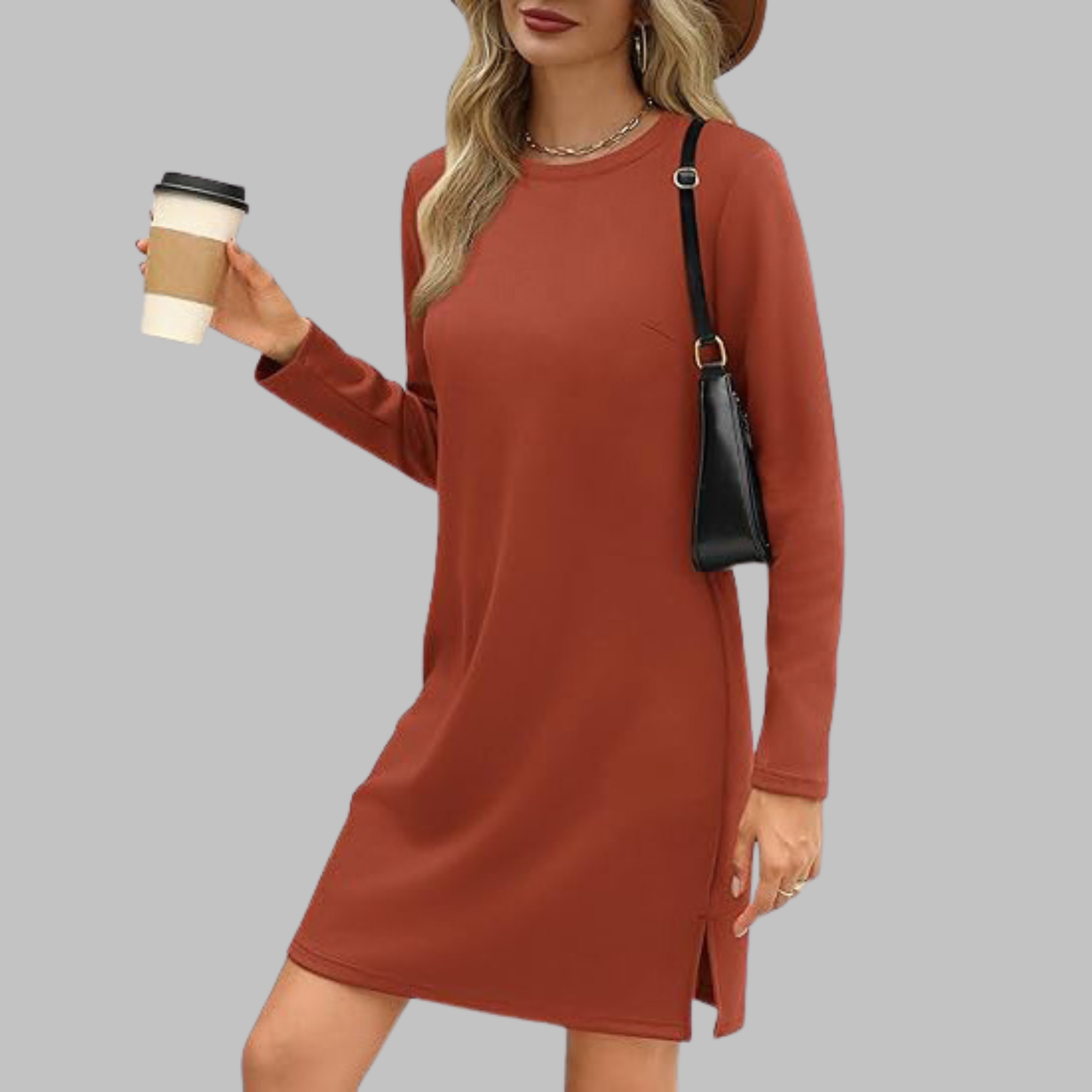Delphine | Casual Long Sleeve Mini Dress